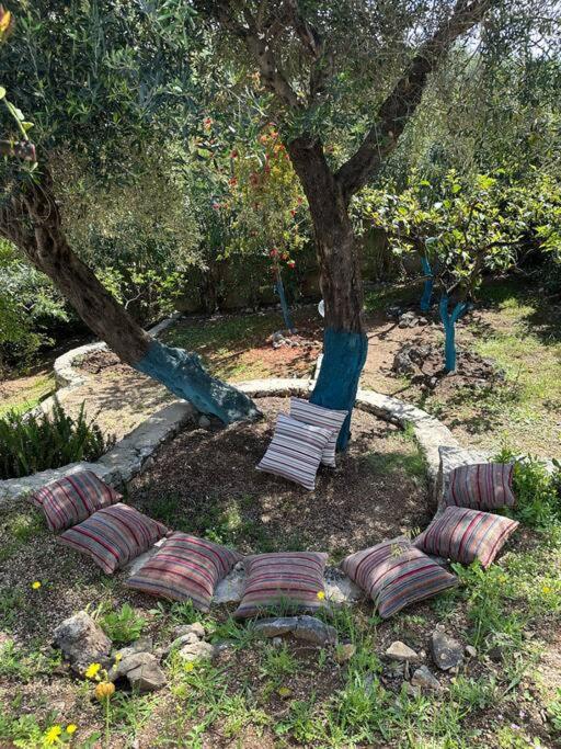 Mount Minis - Casa Bruno Villa Syvota Exterior photo