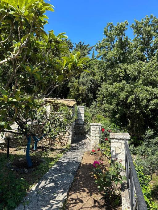Mount Minis - Casa Bruno Villa Syvota Exterior photo